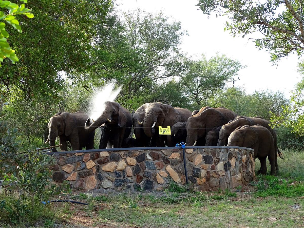 Emhosheni River Lodge Naturschutzgebiet Balule Exterior foto