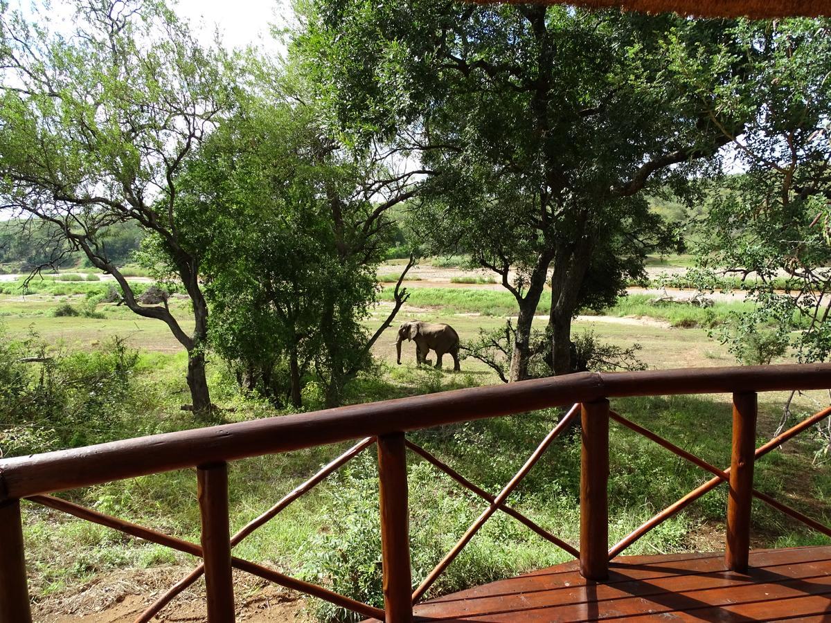 Emhosheni River Lodge Naturschutzgebiet Balule Exterior foto