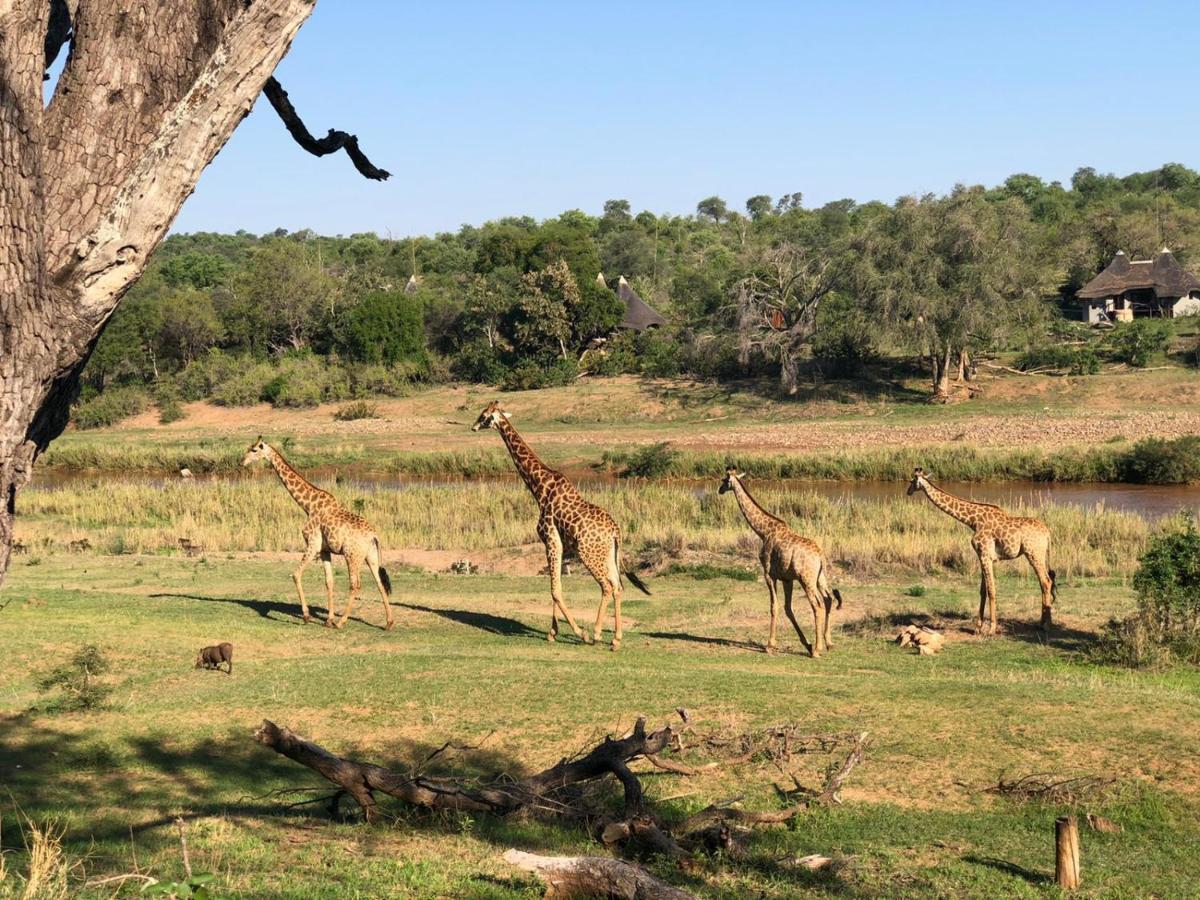Emhosheni River Lodge Naturschutzgebiet Balule Exterior foto